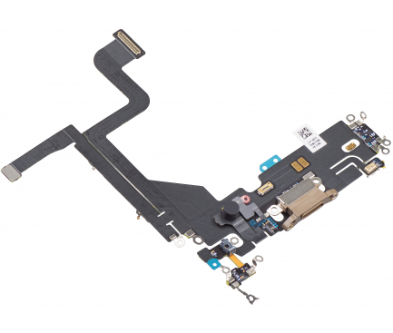 Schimbare Banda cu Conector Alimentare / Date si Microfon Apple iPhone 13 Pro Max